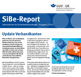 Bild des SiBe-Reports