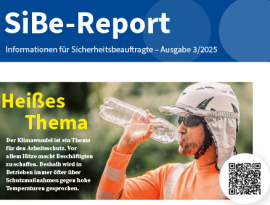 Informationen für Sicherheitsbeauftragte Sibe-Report Informationen für Sicherheitsbeauftragte Sibe-Report