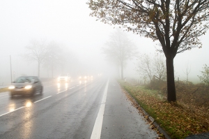 befahrene Straße im Nebel