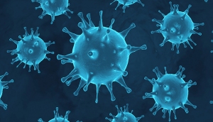 Coronavirus Bild einer Virenzelle